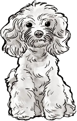 PAWMACY