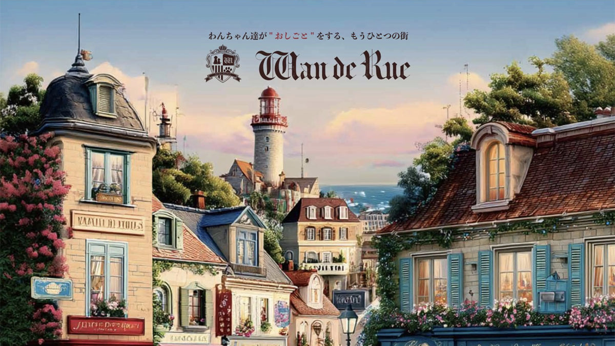 2026.09.24 Wan de Rue ONLINE STORE OPEN