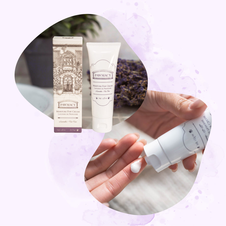 MOISTURE PAW CREAM（肉球ケアクリーム）