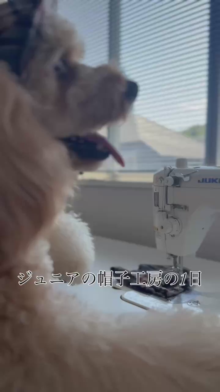 動画を読み込むHat Workshop